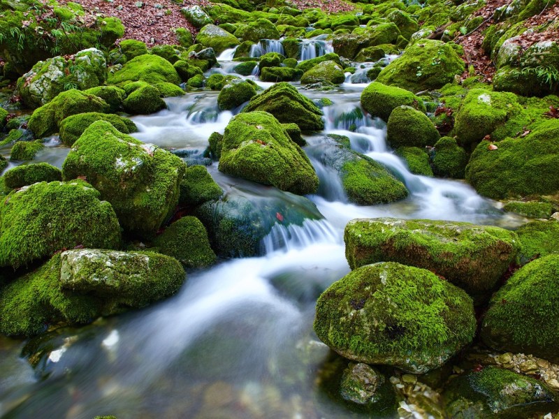 Hivatástisztázó lelkigyakorlat